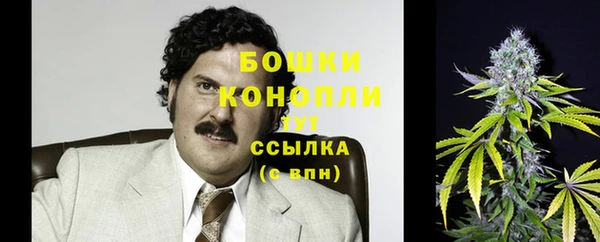 тгк Богородицк