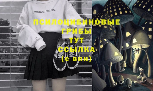 apvp Богданович