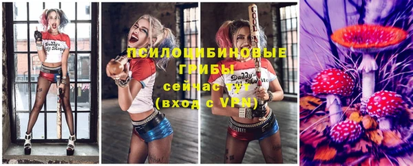 тгк Богородицк