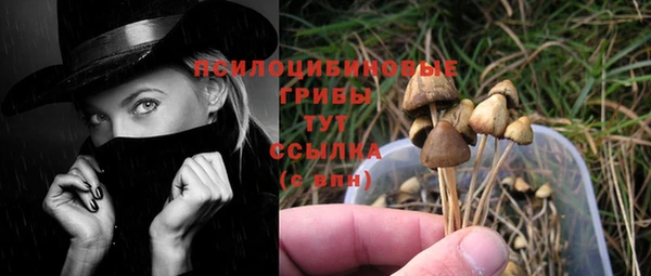 apvp Богданович